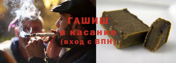 сатива Кулебаки