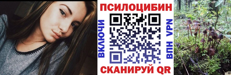 Псилоцибиновые грибы ЛСД  наркотики  Воркута 